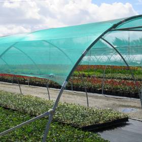 Filet F1032 Filet F1032 Vert Ombrage