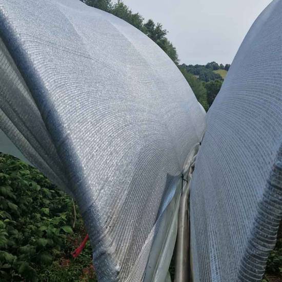 Filet d'ombrage et de ventilation F1072QGBA - Protection jeunes pousses et  plants - DIATEX