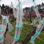 Tissu pour l’étude des flux polliniques