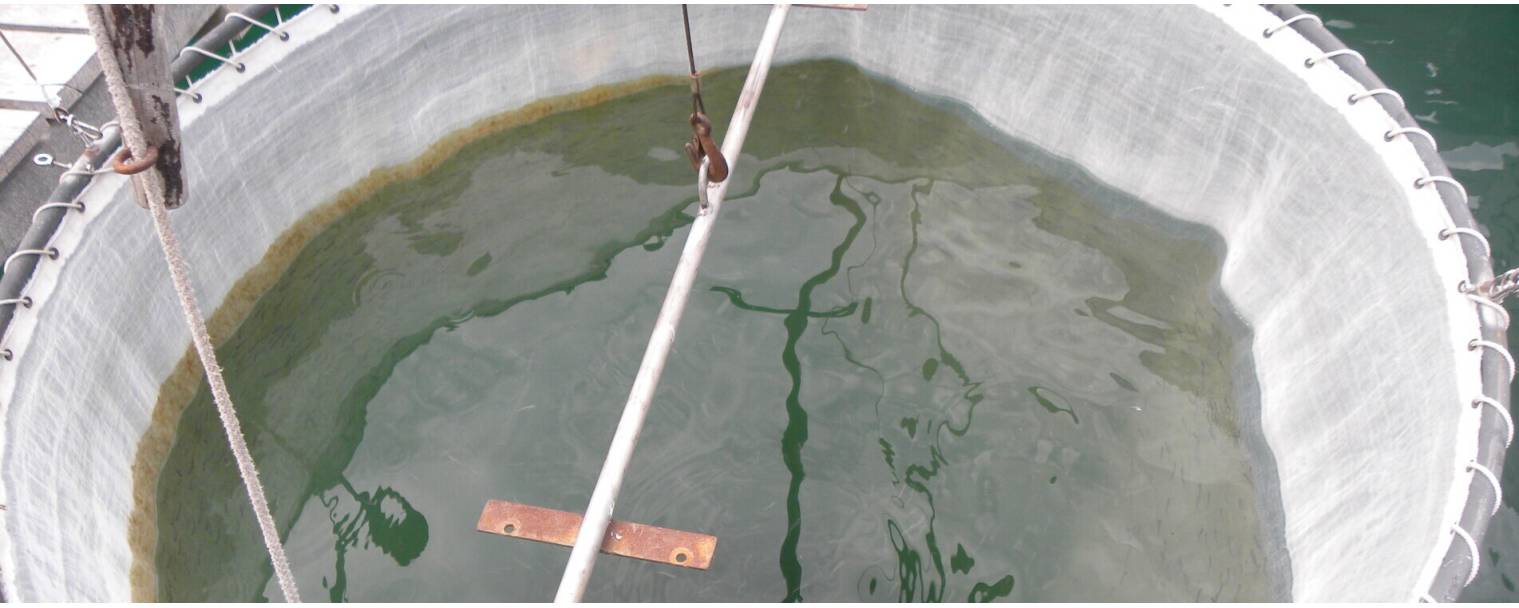 Tamisage et séparation - Solutions pour aquaculture | Diatex